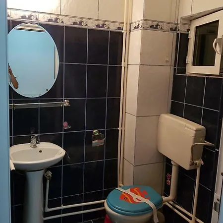 Flori אכסניה